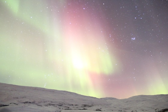aurora boreal polar austral